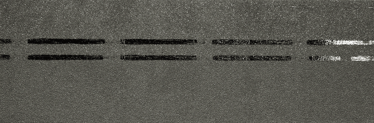 Коньково-карнизная черепица Docke Pie Premium Авокадо Коньково-карнизная черепица Docke Pie Premium Авокадо