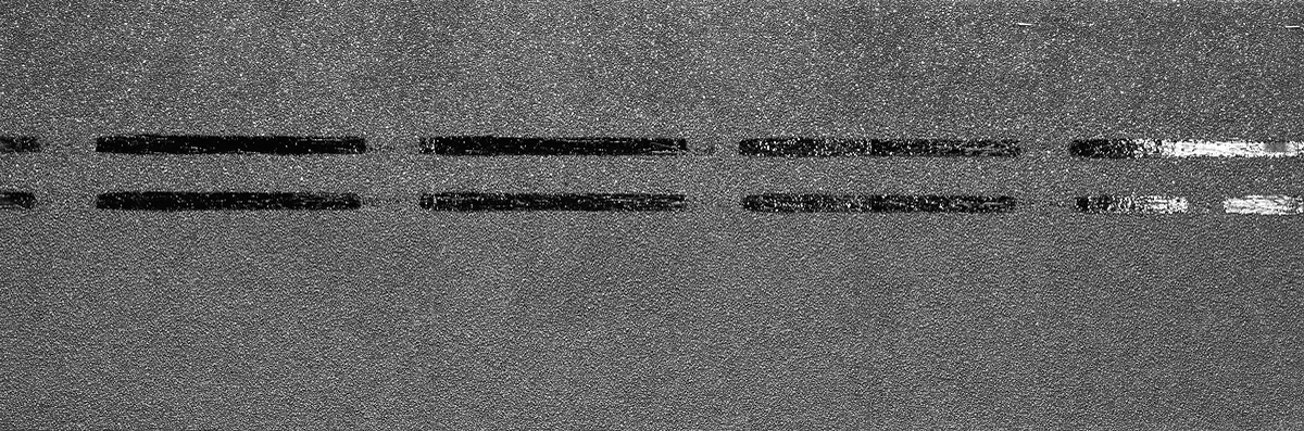 Коньково-карнизная черепица Docke Pie Premium Черника Коньково-карнизная черепица Docke Pie Premium Черника