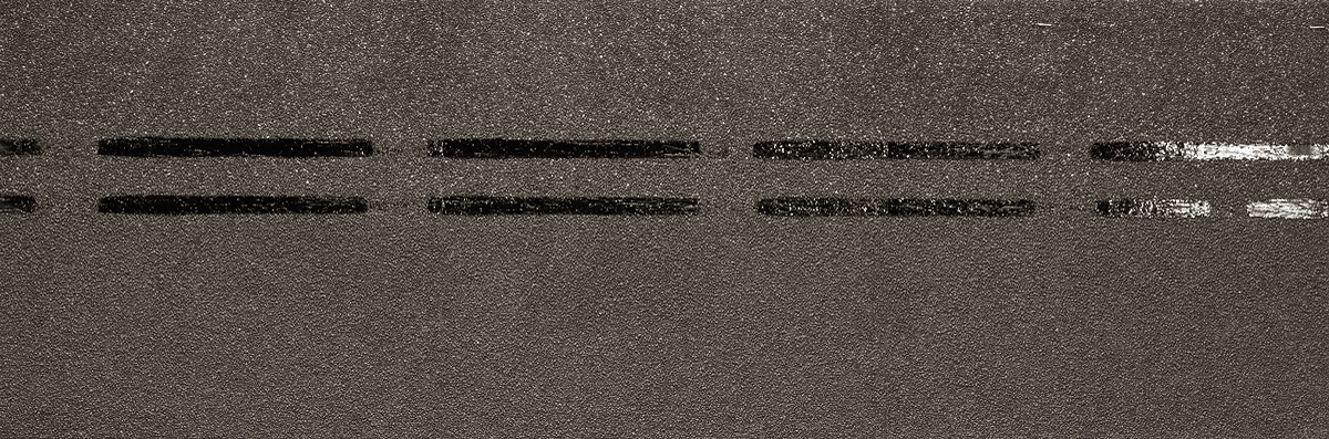 Коньково-карнизная черепица Docke Pie Premium Мокко Коньково-карнизная черепица Docke Pie Premium Мокко