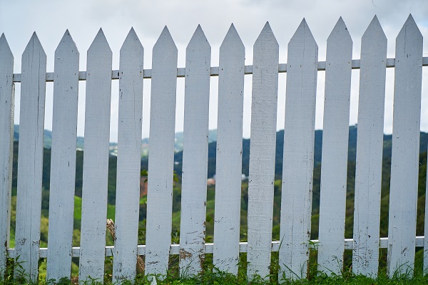 Какой забор можно ставить между соседями